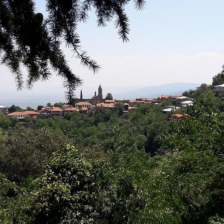 Goga Guesthouse Szenaki Kültér fotó