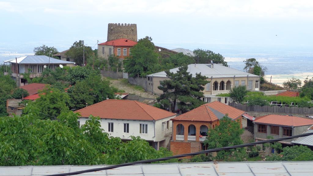 Goga Guesthouse Szenaki Kültér fotó