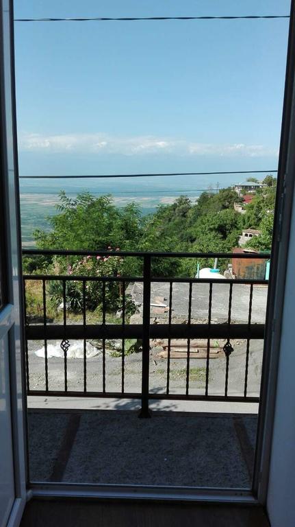 Goga Guesthouse Szenaki Kültér fotó