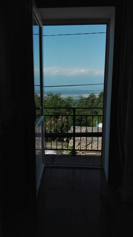Goga Guesthouse Szenaki Kültér fotó