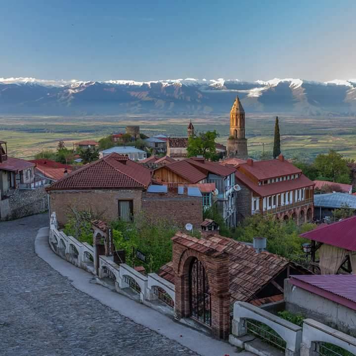 Goga Guesthouse Szenaki Kültér fotó