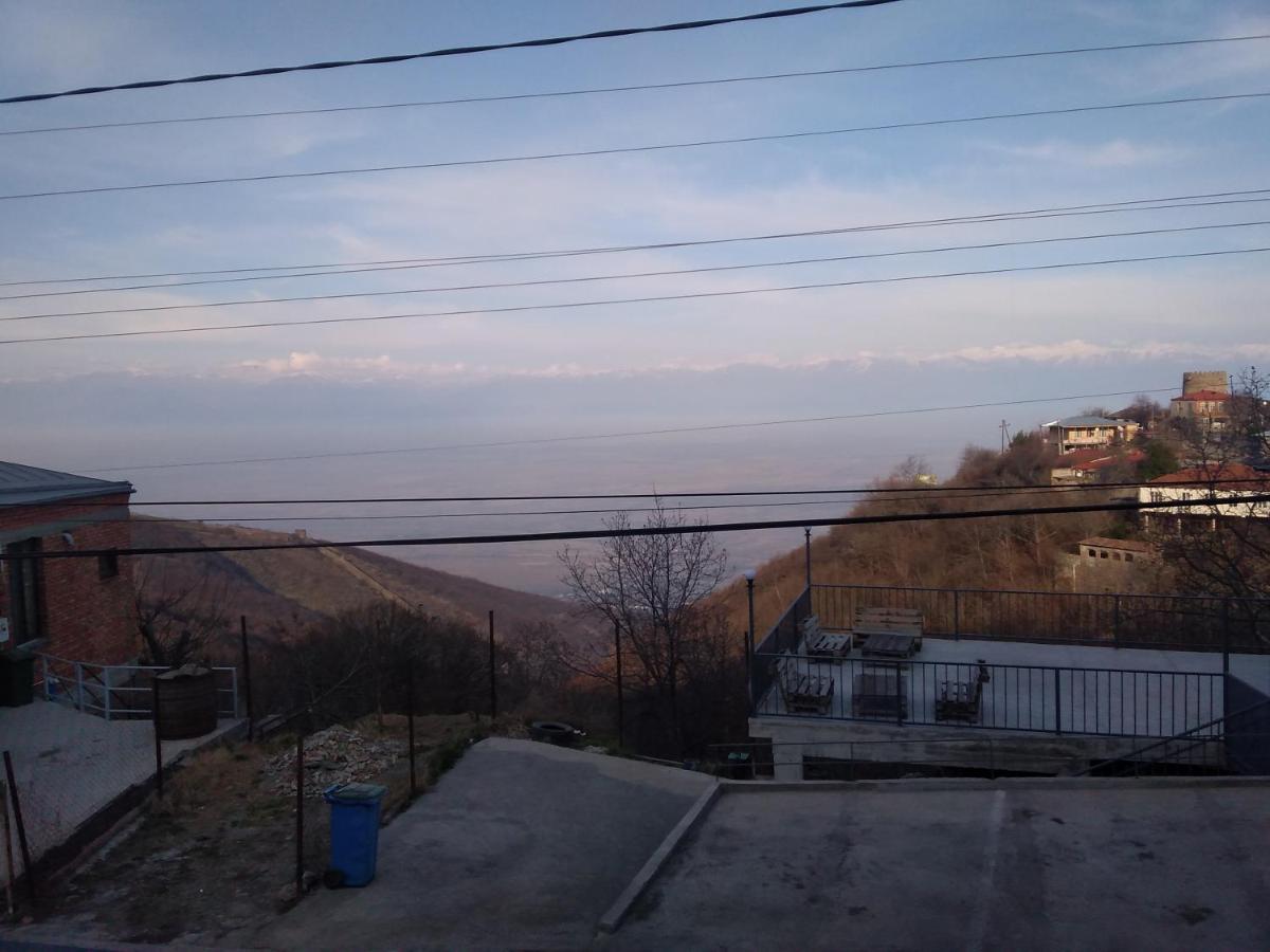 Goga Guesthouse Szenaki Kültér fotó
